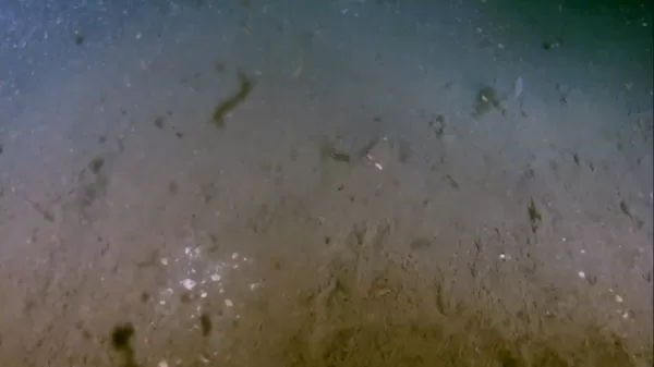 2013 - Agamemnon Expedition - ROV test